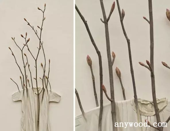 批木网 anywood.com
