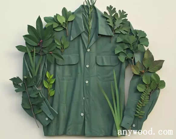 批木网 anywood.com