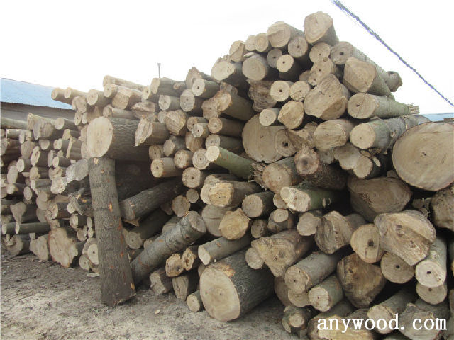 批木网 anywood.com