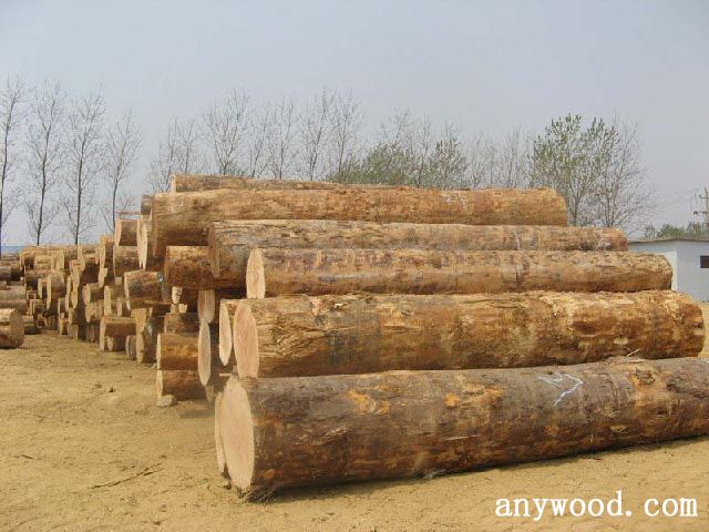批木网 anywood.com