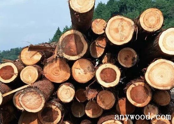 批木网 anywood.com