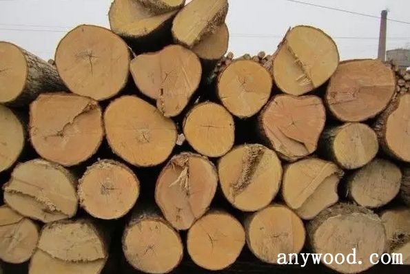 批木网 anywood.com