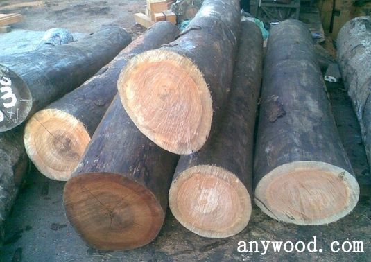 批木网 anywood.com