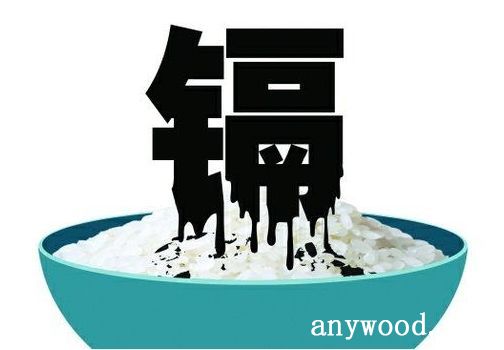 批木网 anywood.com