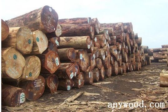 批木网 anywood.com