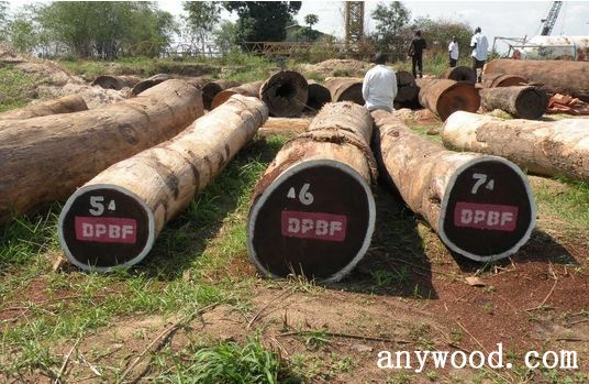批木网 anywood.com