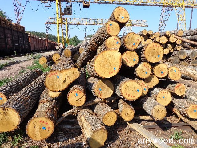 批木网 anywood.com