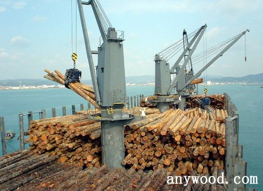 批木网 anywood.com