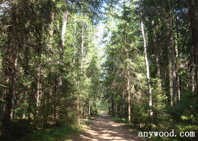 批木网 anywood.com