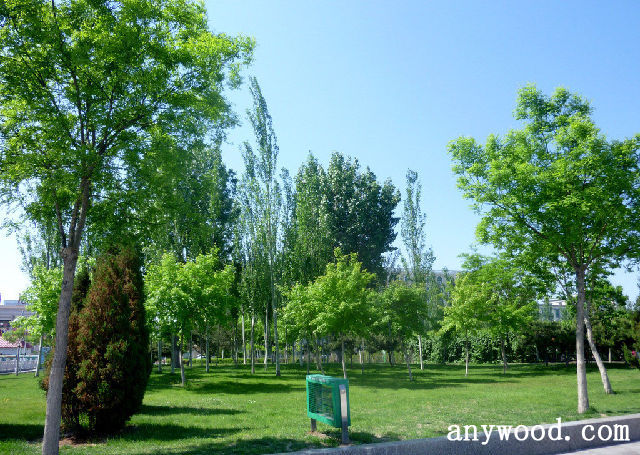 批木网 anywood.com