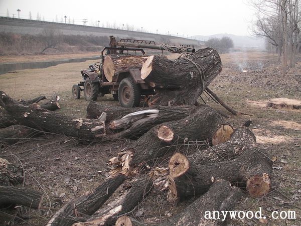 批木网 anywood.com