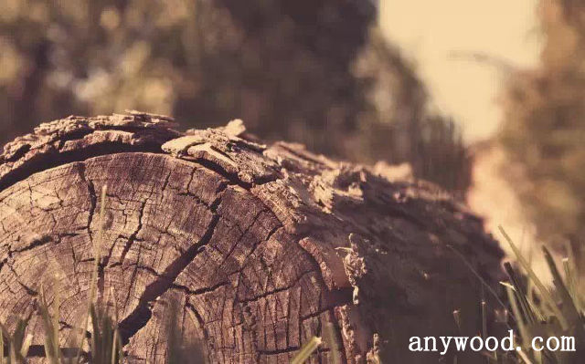 批木网 anywood.com
