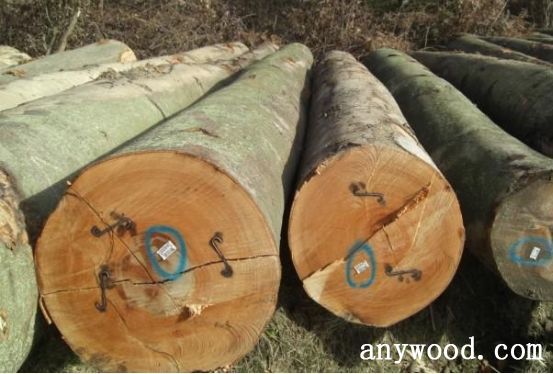 批木网 anywood.com