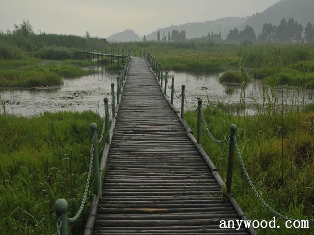 批木网 anywood.com