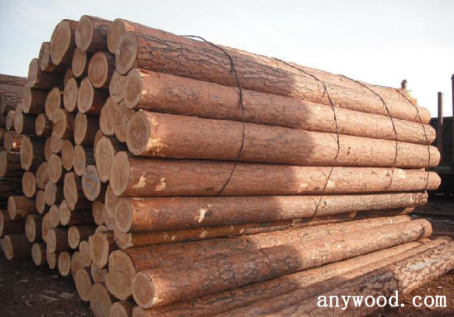 批木网 anywood.com