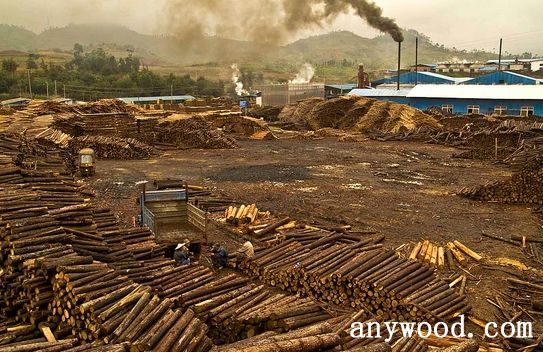 批木网 anywood.com