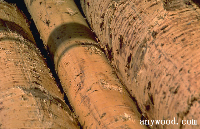 批木网 anywood.com