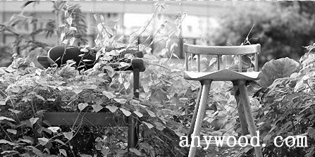 批木网 anywood.com