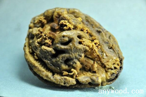 批木网 anywood.com
