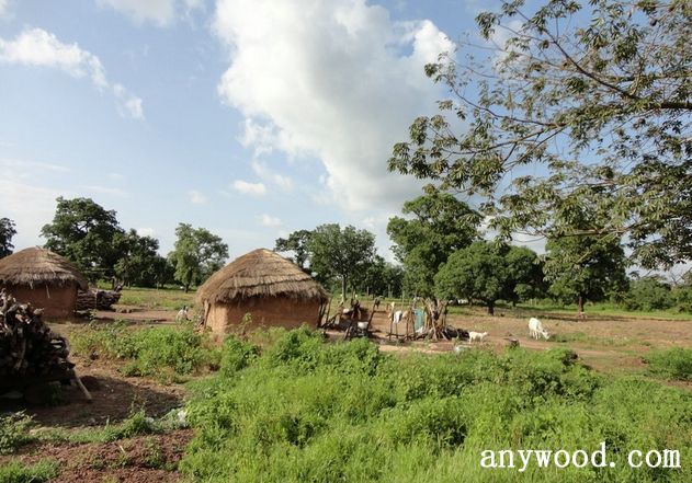 批木网 anywood.com