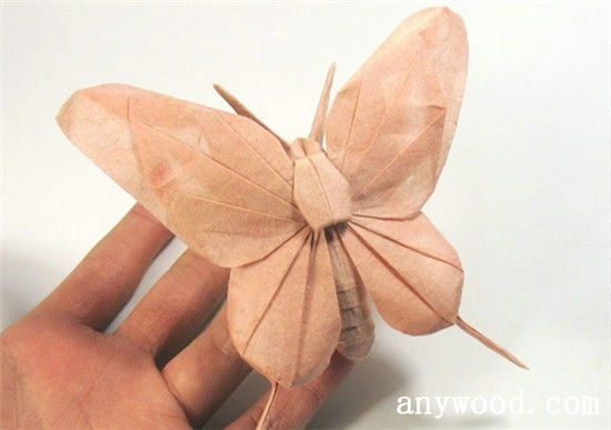 批木网 anywood.com