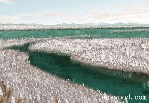 批木网 anywood.com
