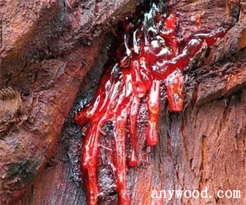 批木网 anywood.com