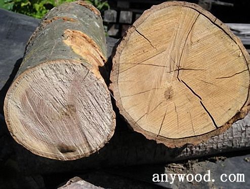 批木网 anywood.com
