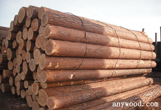 批木网 anywood.com