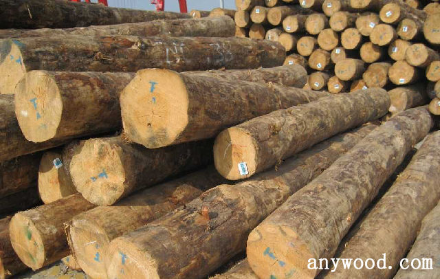批木网 anywood.com