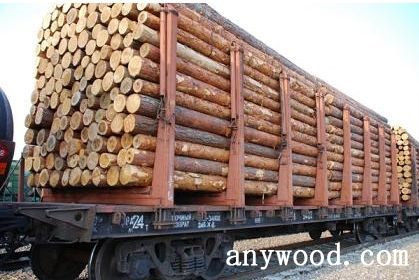 批木网 anywood.com