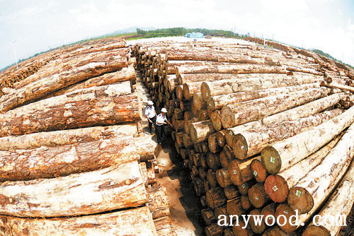 批木网 anywood.com