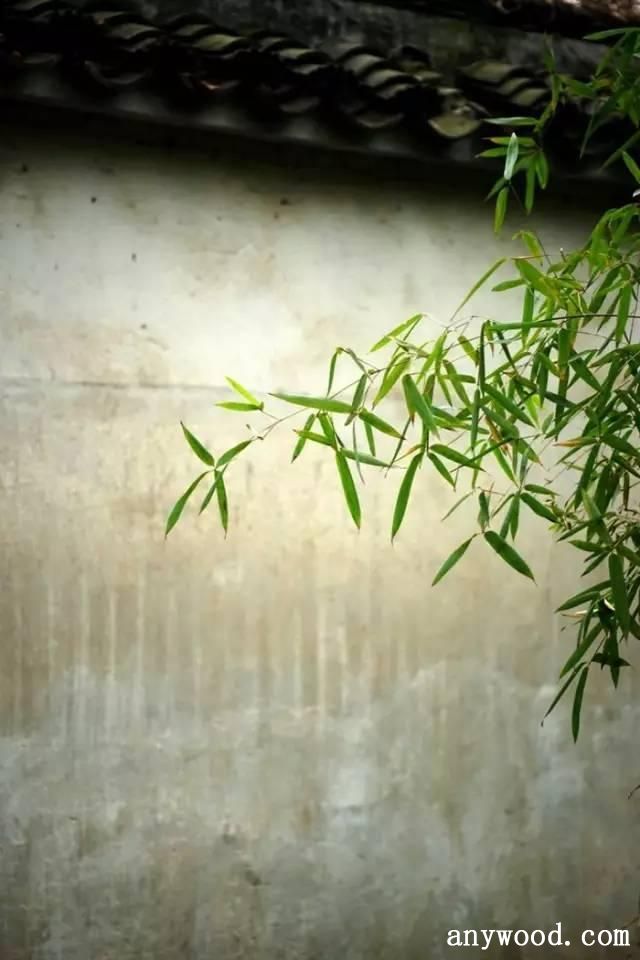 批木网 anywood.com