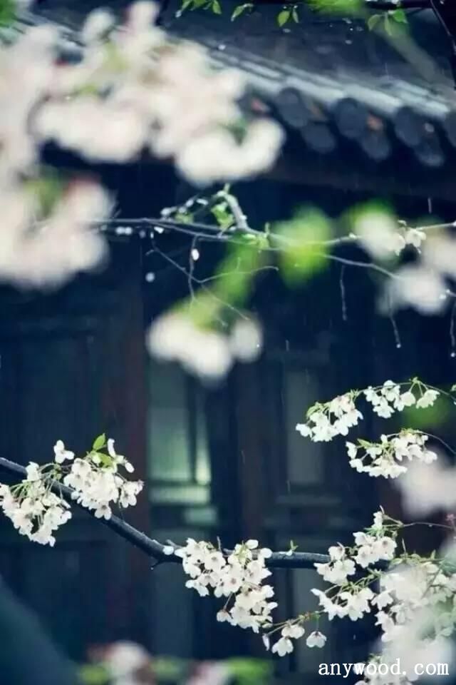 批木网 anywood.com
