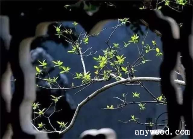 批木网 anywood.com