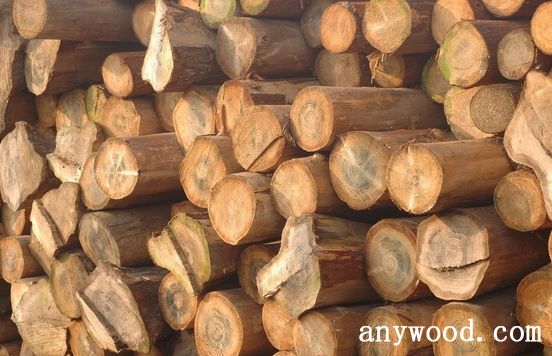 批木网 anywood.com