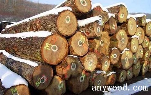 批木网 anywood.com