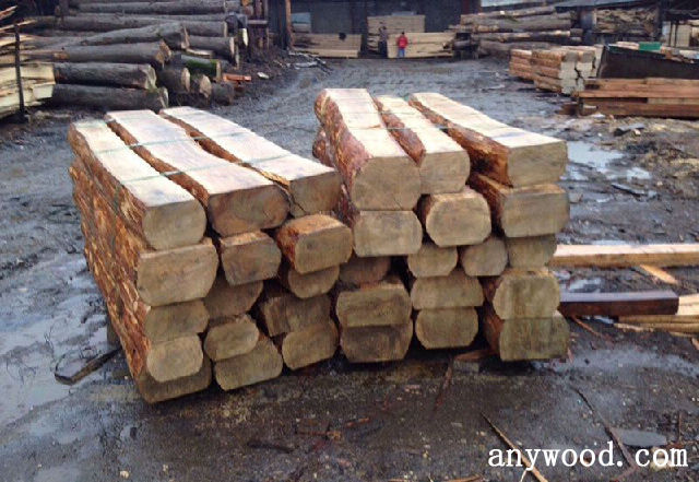 批木网 anywood.com