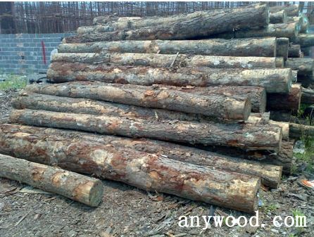 批木网 anywood.com