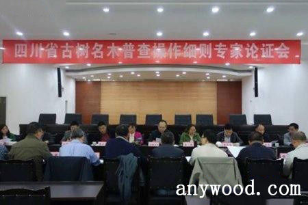 批木网 anywood.com