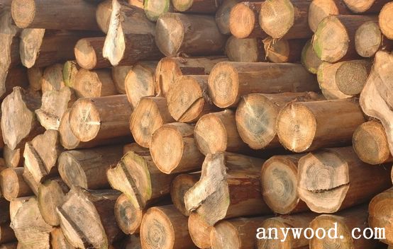 批木网 anywood.com