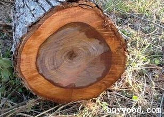 批木网 anywood.com