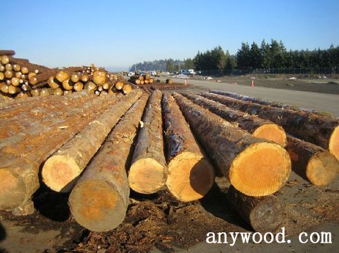 批木网 anywood.com