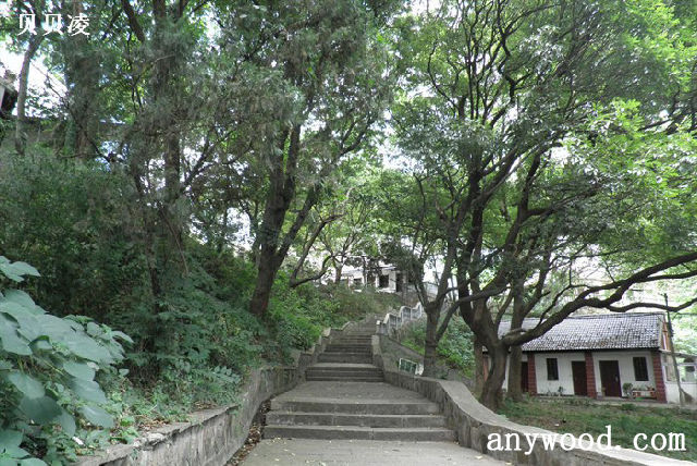 批木网 anywood.com