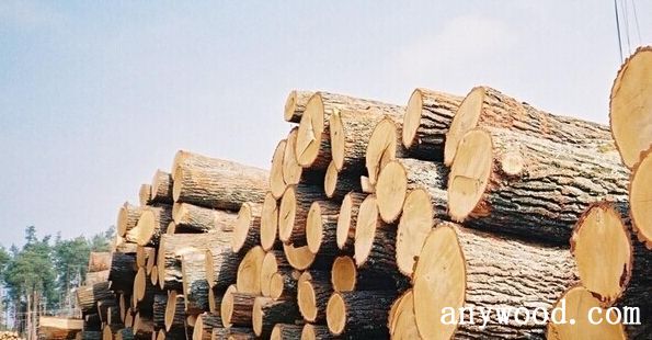 批木网 anywood.com