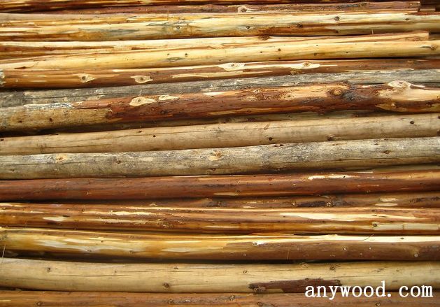 批木网 anywood.com