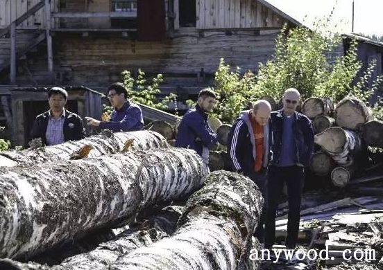 批木网 anywood.com