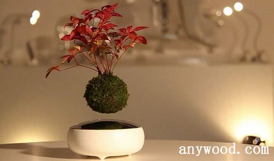 批木网 anywood.com