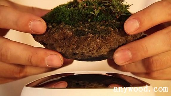 批木网 anywood.com