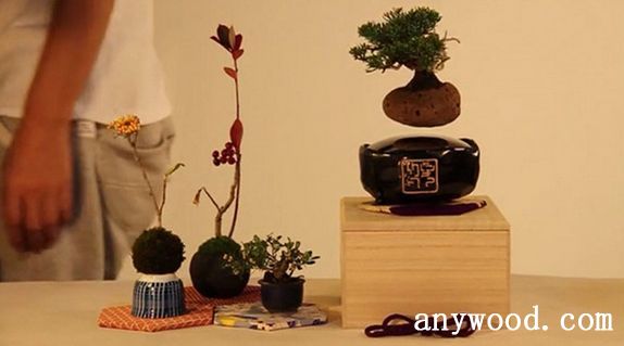 批木网 anywood.com